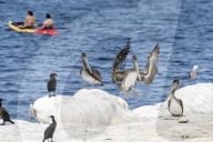 Tourism And Wildlife In California