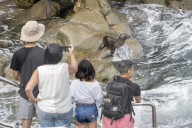 Tourism And Wildlife In California