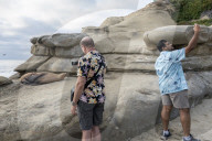 People Take Photos Of A Sea Lion