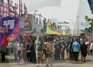 Edmonton’s Summer Festivals Sizzle With Street Food Delights