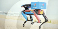 Pizza delivery robot dog