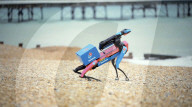 Pizza delivery robot dog