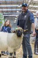 Herd community: Australian Sheep and Wool Show.