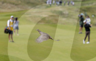 Day two of the 153rd Open Golf Championship at the Royal Portrush golf club in Northern Ireland.
