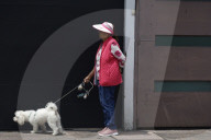 World Dog Day