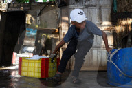 Fish Market In Rashid