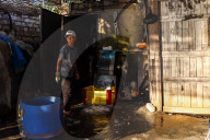 Fish Market In Rashid