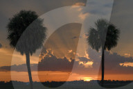 Sunset Seen At Orlando International Airport MCO
