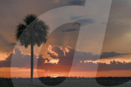 Sunset Seen At Orlando International Airport MCO