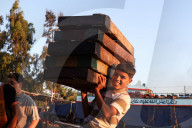 Fish Market In Rashid