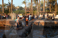 Fish Market In Rashid