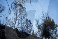 Forest Fire In Viladecans, Near Barcelona.