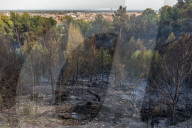Forest Fire In Viladecans, Near Barcelona.