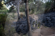 Forest Fire In Viladecans, Near Barcelona.