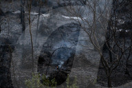 Forest Fire In Viladecans, Near Barcelona.