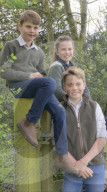 Prince George celebrates 12th birthday