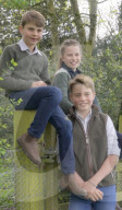 Prince George celebrates 12th birthday