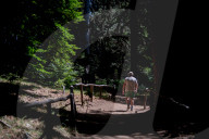 I Giganti Della Sila Amid The Ancient Trees In The Sila National Park