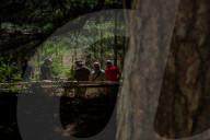 I Giganti Della Sila Amid The Ancient Trees In The Sila National Park