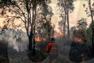 Forest And Landfire In Indonesia