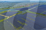 Largest Single-unit Affordable 260MW FISHER-Solar Hybrid Project PV Power Station in East China