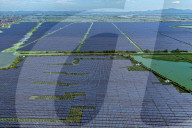 Largest Single-unit Affordable 260MW FISHER-Solar Hybrid Project PV Power Station in East China
