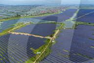 Largest Single-unit Affordable 260MW FISHER-Solar Hybrid Project PV Power Station in East China