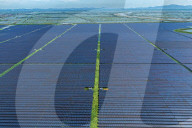 Largest Single-unit Affordable 260MW FISHER-Solar Hybrid Project PV Power Station in East China