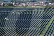 Largest Single-unit Affordable 260MW FISHER-Solar Hybrid Project PV Power Station in East China