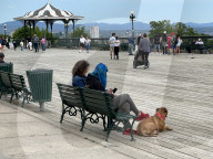 Daily Life In Old Quebec City