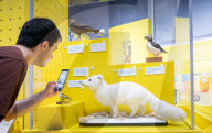 Future of Food - a major new exhibition at the Science Museum, Kensington, London, UK.