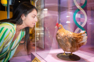 Future of Food - a major new exhibition at the Science Museum, Kensington, London, UK.