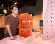 Future of Food - a major new exhibition at the Science Museum, Kensington, London, UK.