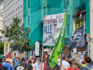 Animal Rights Demonstration In Berlin