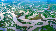 Naolihe River Wetland in Shuangyashan