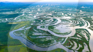 Naolihe River Wetland in Shuangyashan
