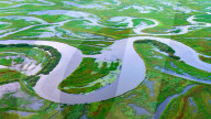 Naolihe River Wetland in Shuangyashan