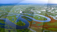 Naolihe River Wetland in Shuangyashan