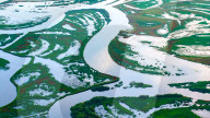 Naolihe River Wetland in Shuangyashan