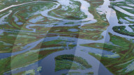 Naolihe River Wetland in Shuangyashan