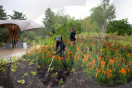 Carbon Garden opens at Kew Gardens, London, UK.