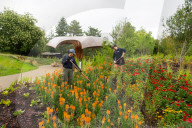 Carbon Garden opens at Kew Gardens, London, UK.