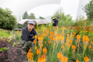 Carbon Garden opens at Kew Gardens, London, UK.