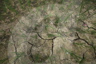 Drought Hits Madhesh Province Of Nepal Mid-monsoon, Government Declares Disaster Crisis Zone