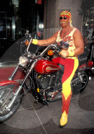 HULK HOGAN ANGELO