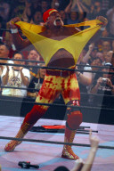 WRESTLEMANIA MR