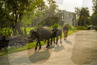 Sunset In Chitwan, Nepal