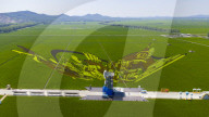 Great Northern Wildernes Group 859 Farm