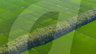 Great Northern Wildernes Group 859 Farm