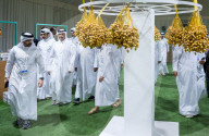 Qatar Local Dates Festival 2025